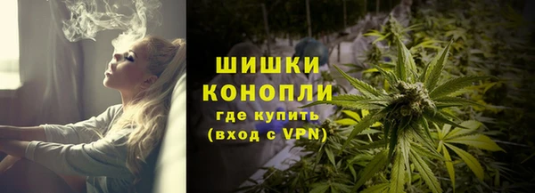 сатива Белоозёрский