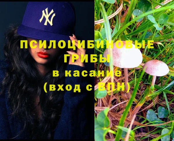 эйфоретик Белокуриха