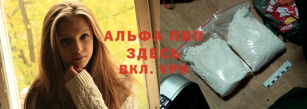 сатива Белоозёрский
