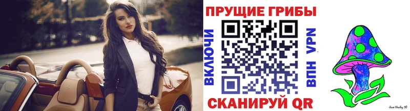 Псилоцибиновые грибы GOLDEN TEACHER  Курильск 